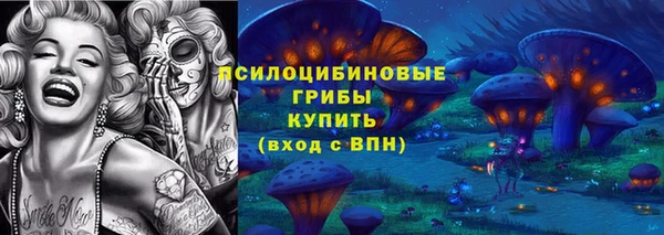 дурь Волоколамск