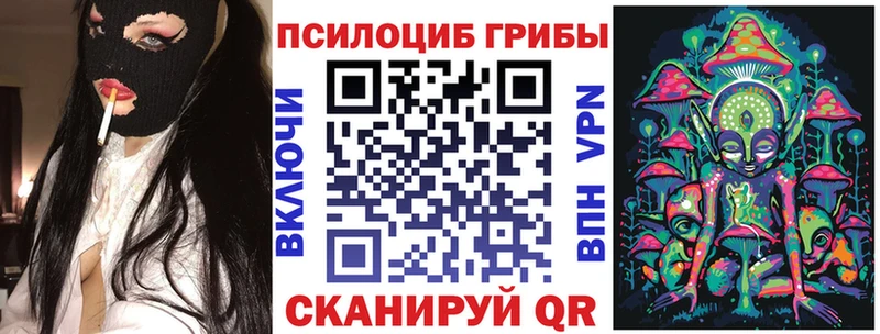 Псилоцибиновые грибы мицелий Высоковск